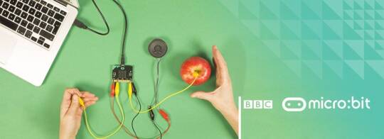 BBC Micro:Bit Kartı - 4