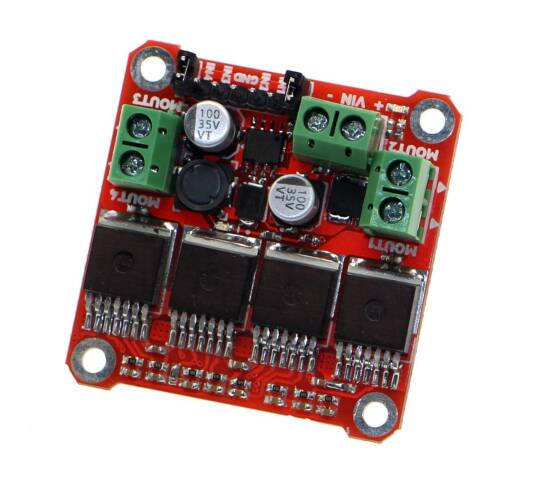 EVO 40 Cüt Motor Sürücü Kartı 8-33 Volt 40 Amper - 3