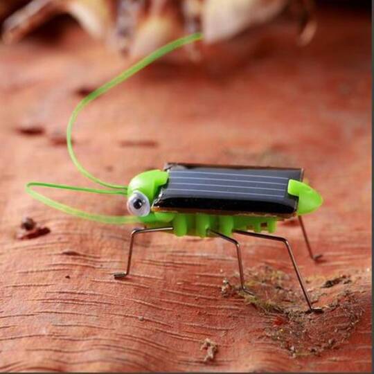 Günəş Enerjisiylə İşləyən Solar Robot Həşərat