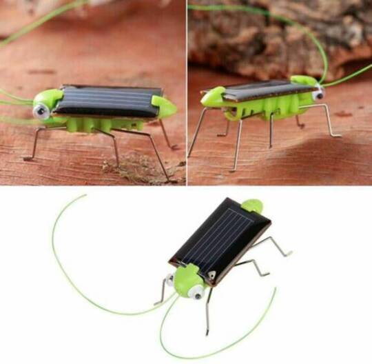 Günəş Enerjisiylə İşləyən Solar Robot Həşərat - 3