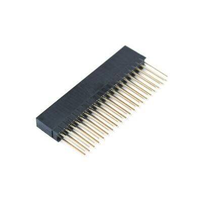 Raspberry 2x20 Əlavə Uzun Header - 1